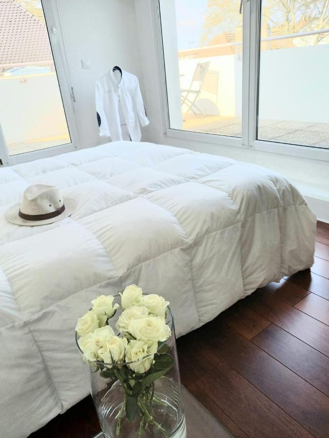 שטרסבורג Bel Appartement מראה חיצוני תמונה