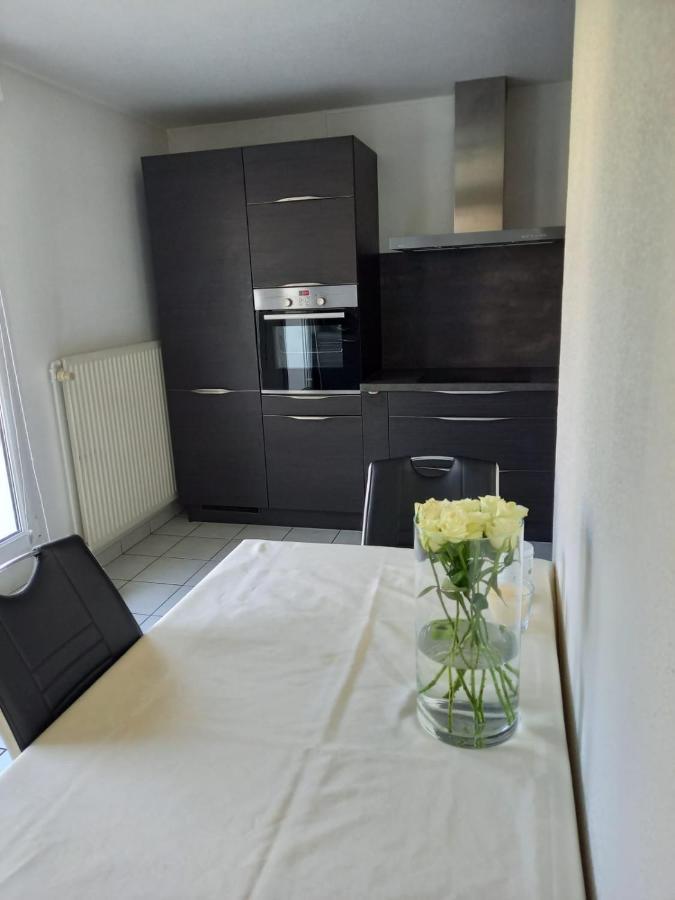שטרסבורג Bel Appartement מראה חיצוני תמונה