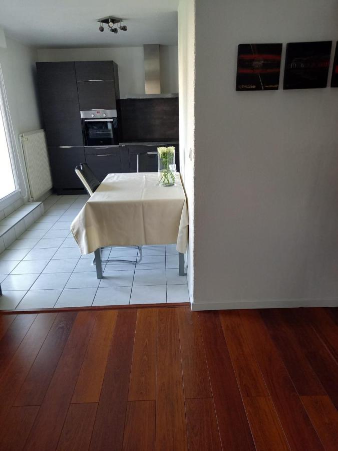 שטרסבורג Bel Appartement מראה חיצוני תמונה